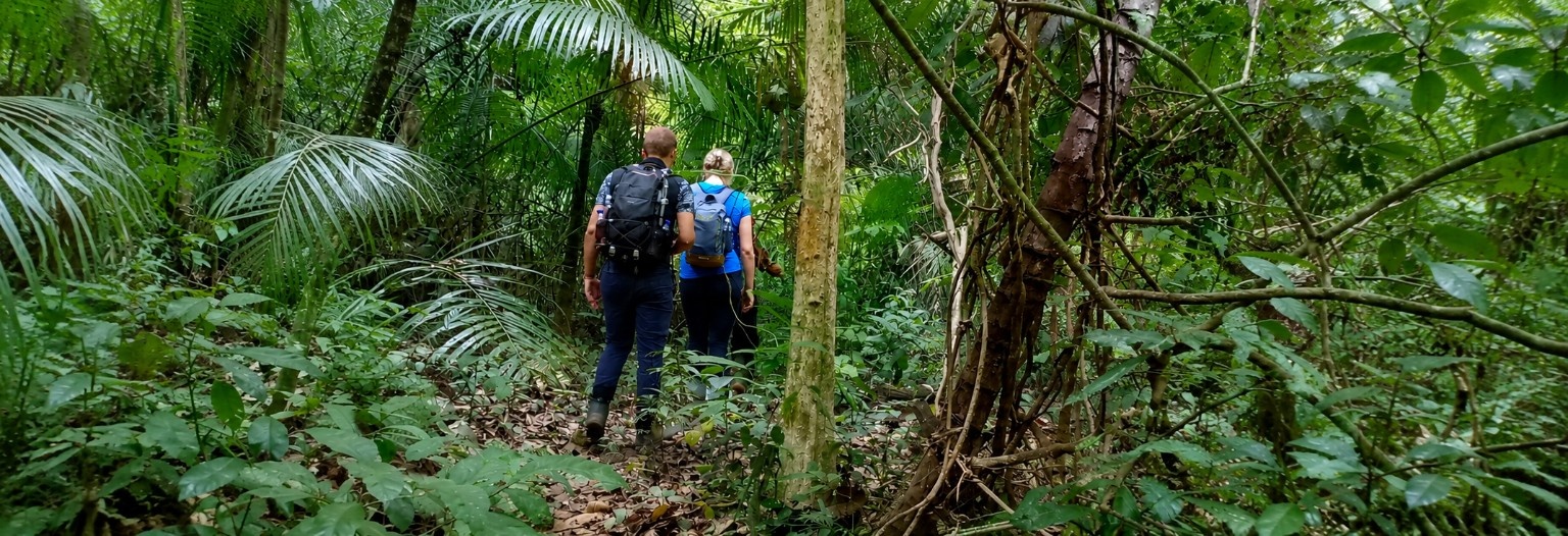 Tourists enjoying a jungle trekking adventure in Pulau Peucang, Ujung Kulon National Park, Banten, Indonesia