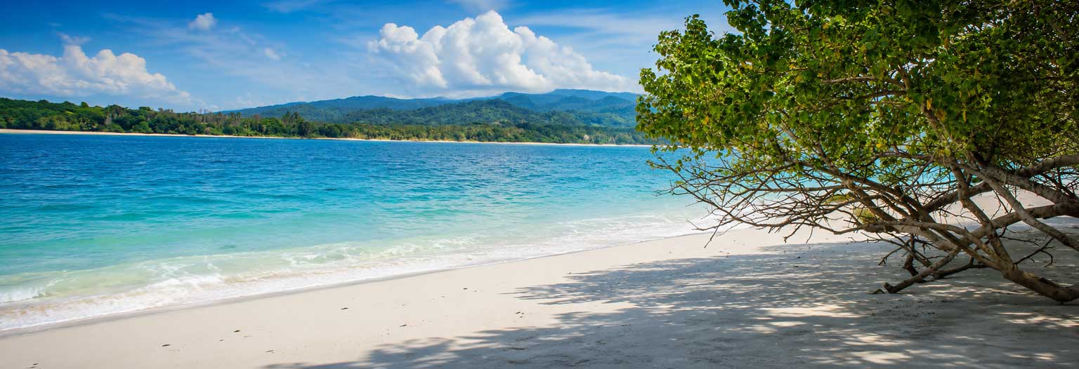 Ujung Kulon Adventure 2 Days 1 Night Tour at Ujung Kulon National Park